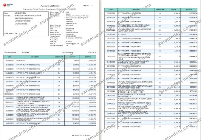 India Bandhan bank statement Word and PDF  template, 4 pages